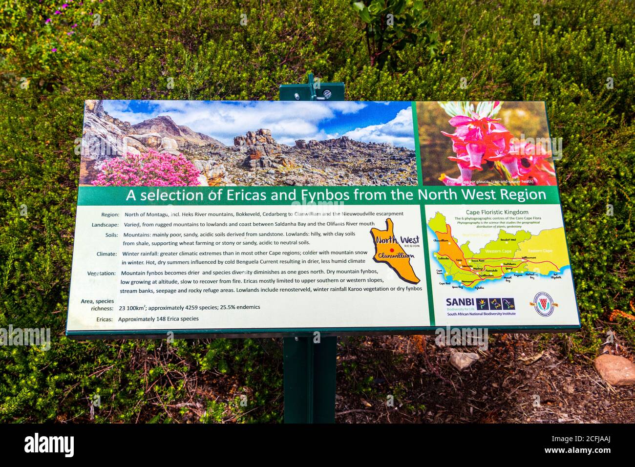 Fynbos and Ericas green turquoise information sign in Kirstenbosch, Cape Town, South Africa. Stock Photo