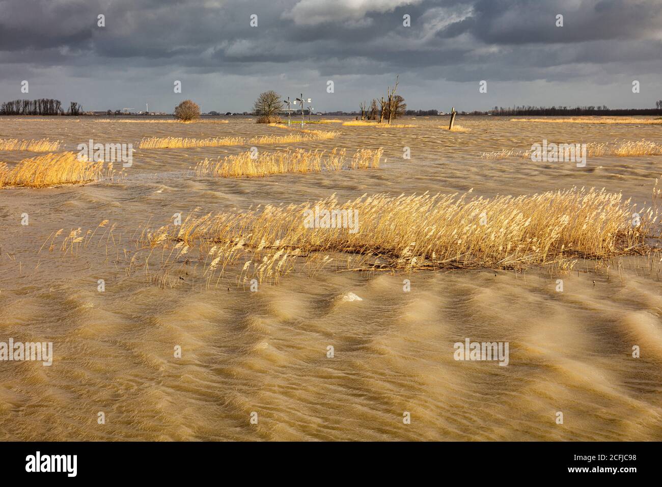 The Netherlands, Werkendam, National Park De Biesbosch. Intentional flooding of the Noordwaard polder. Room for the River project. Stock Photo
