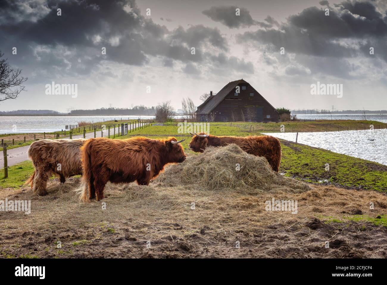 The Netherlands, Werkendam, National Park De Biesbosch. Intentional flooding of the Noordwaard polder. Room for the River project. Isolated farm. High Stock Photo