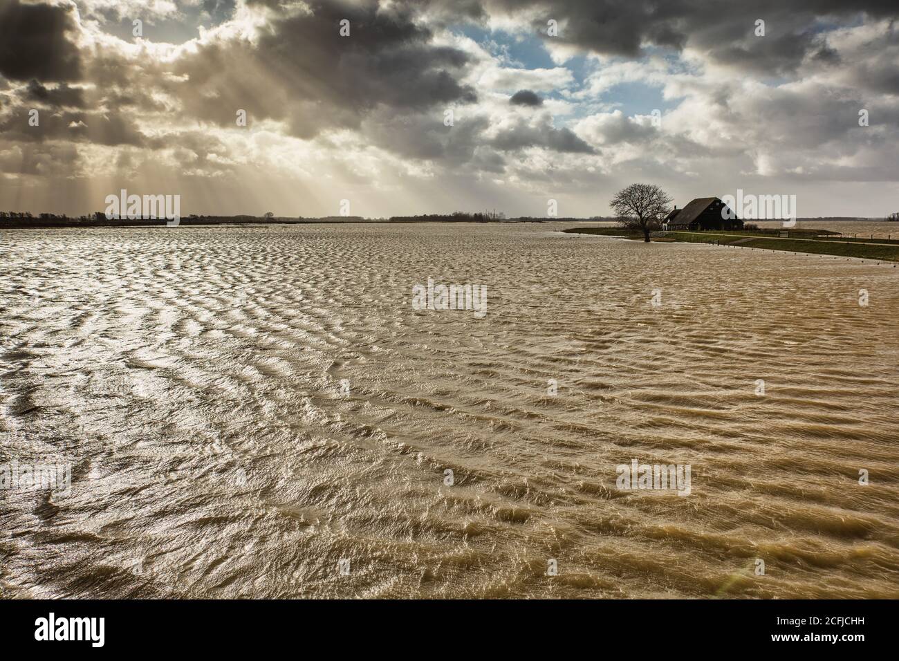The Netherlands, Werkendam, National Park De Biesbosch. Intentional flooding of the Noordwaard polder. Room for the River project. Isolated farm. Stock Photo
