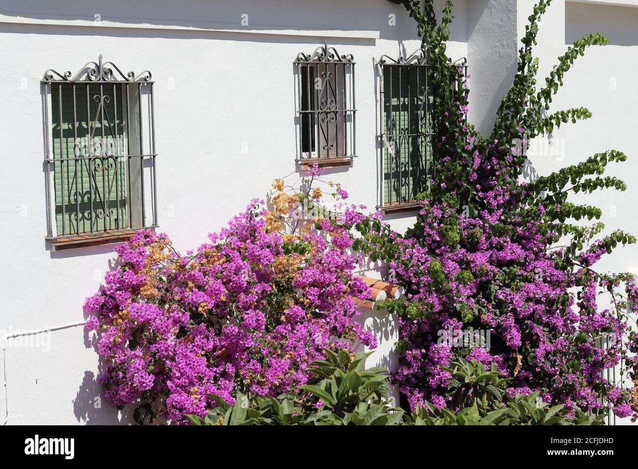 House Facade With Flowers Bougainvillea Hi res Stock Photography And house-facade-with-flowers-bougainvillea-hi-res-stock-photography-and
