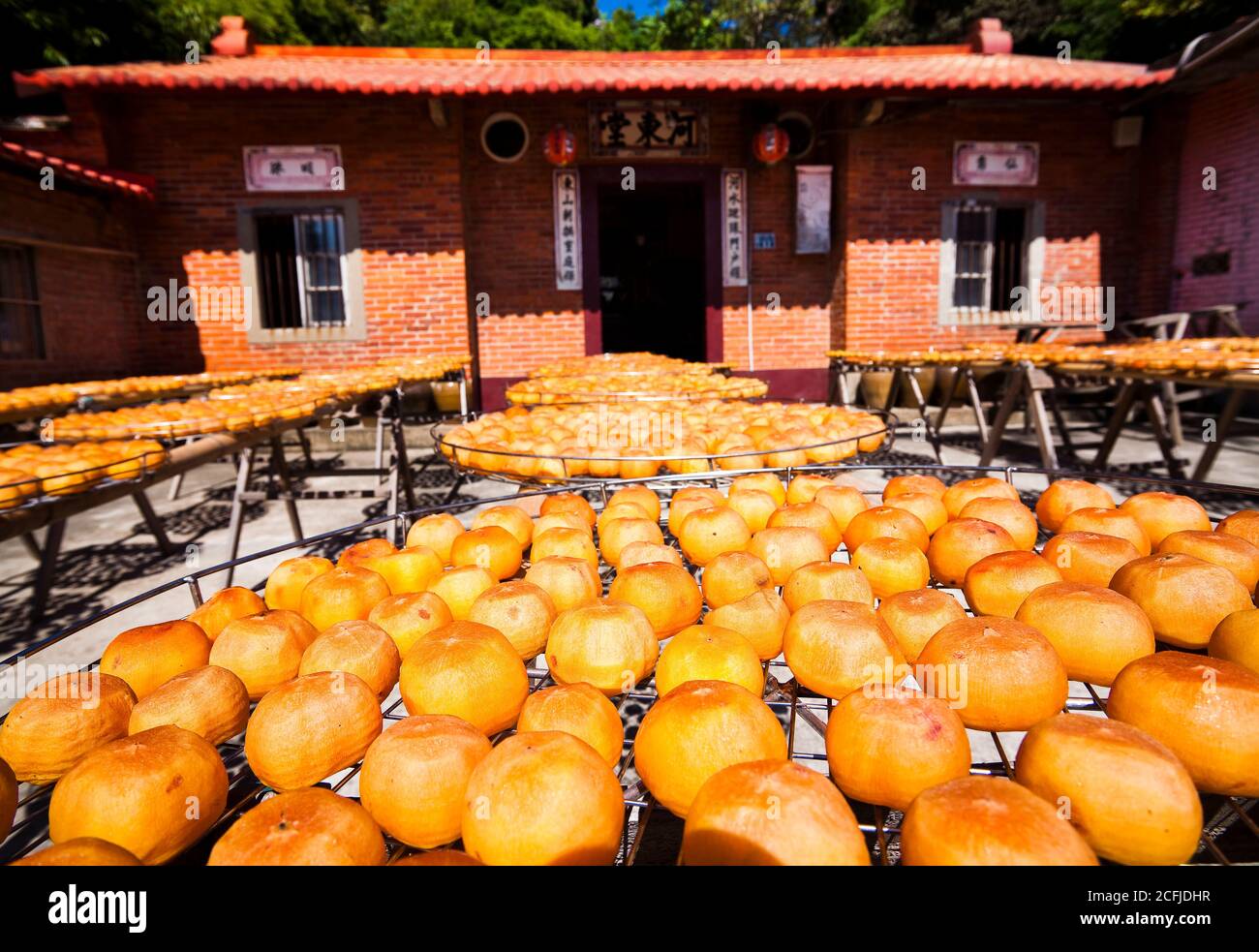Process of Making Dried Persimmon during Windy Autumn in Hsinpu (With