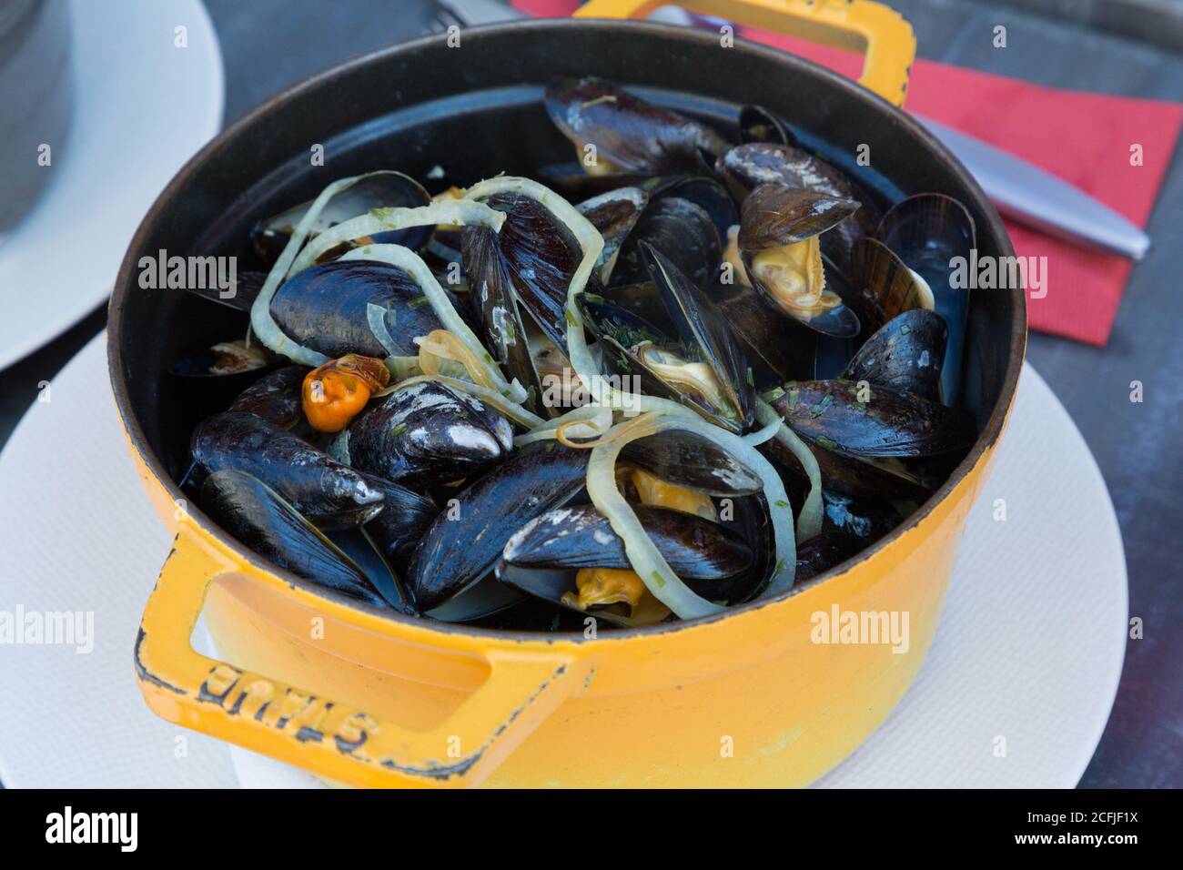 dish of mussel served Stock Photo