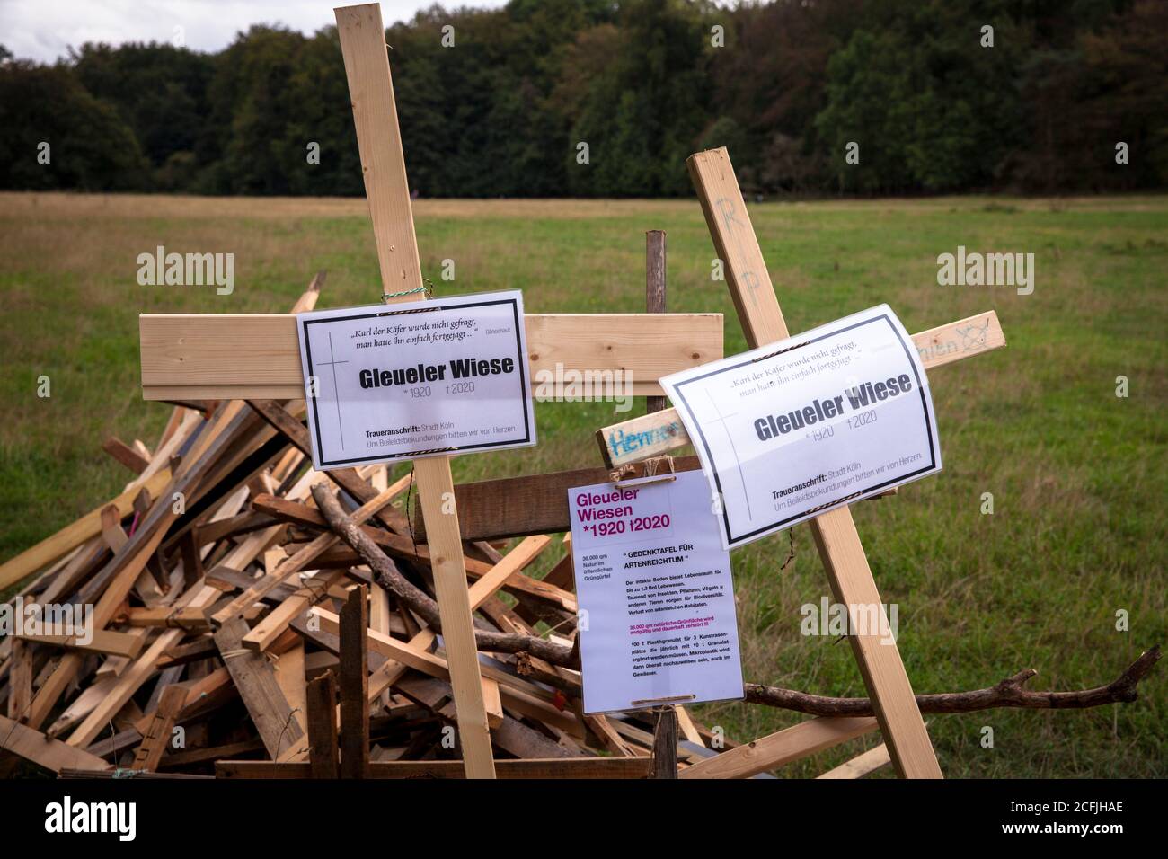 unknown persons had erected crosses on the Gleueler Wiese in the city forest in protest against the expansion of the training area of the football clu Stock Photo