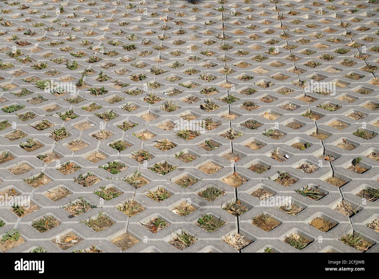 concrete paving slab with grass holes Stock Photo Alamy
