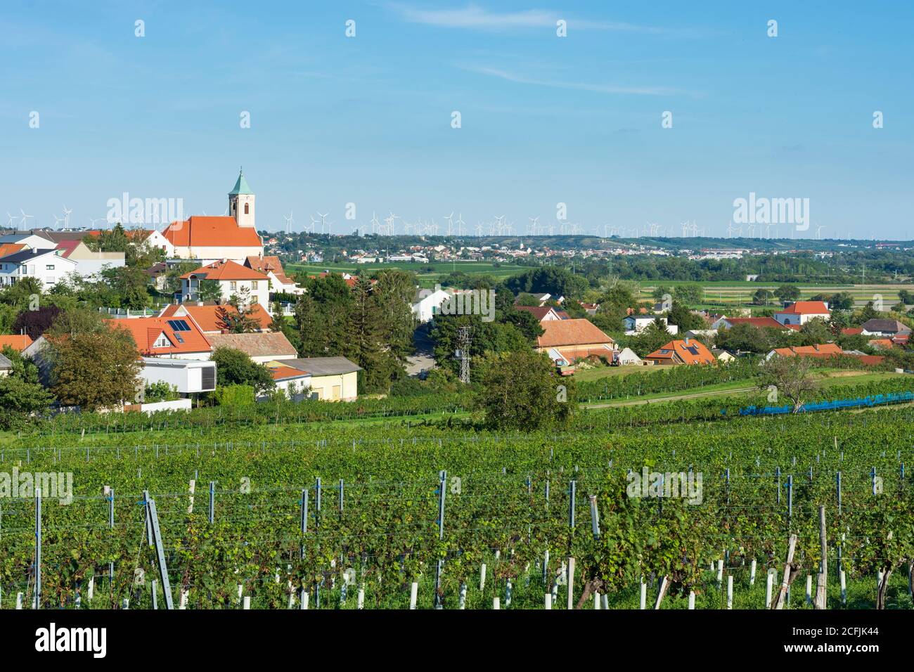 Jois: church, vineyard in Neusiedler See (Lake Neusiedl), Burgenland, Austria Stock Photo