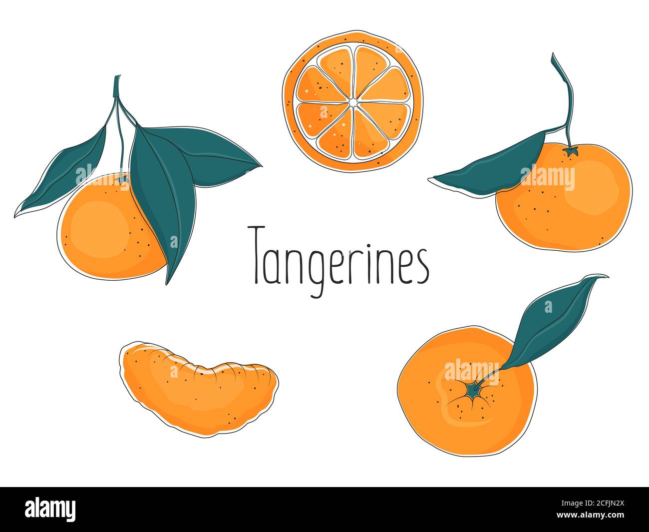Set of orange tangerines with leaves, whole and slice, vector illustration. Stock Vector