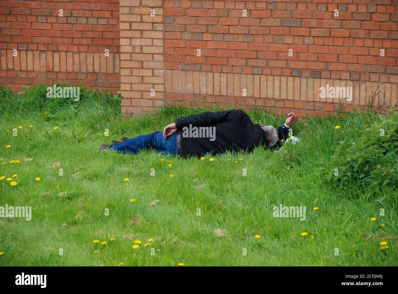 A drunk passed out on a patch of grass in Liverpool, UK Stock Photo