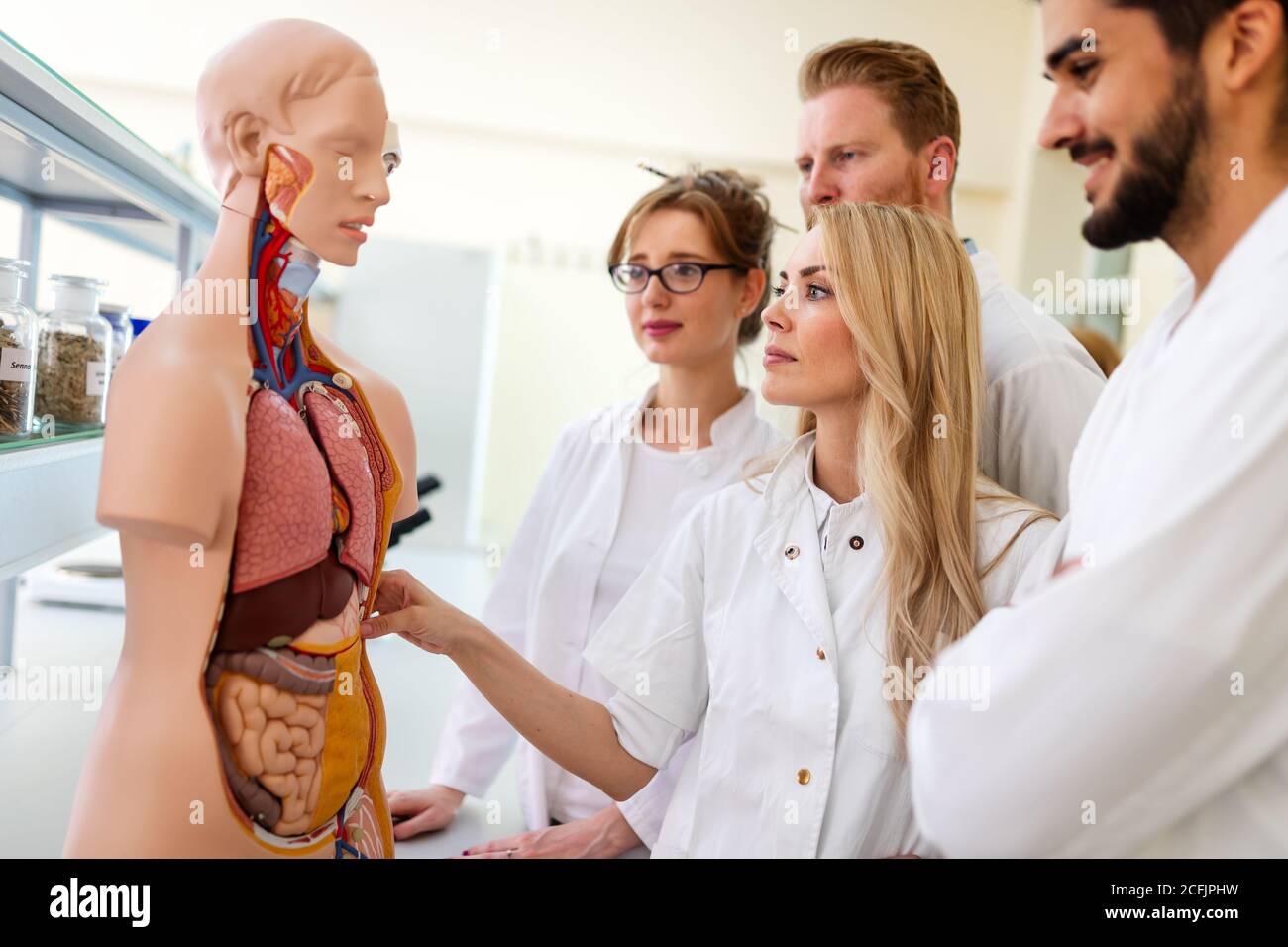 Student of medicine examining anatomical model in lab Stock Photo Alamy