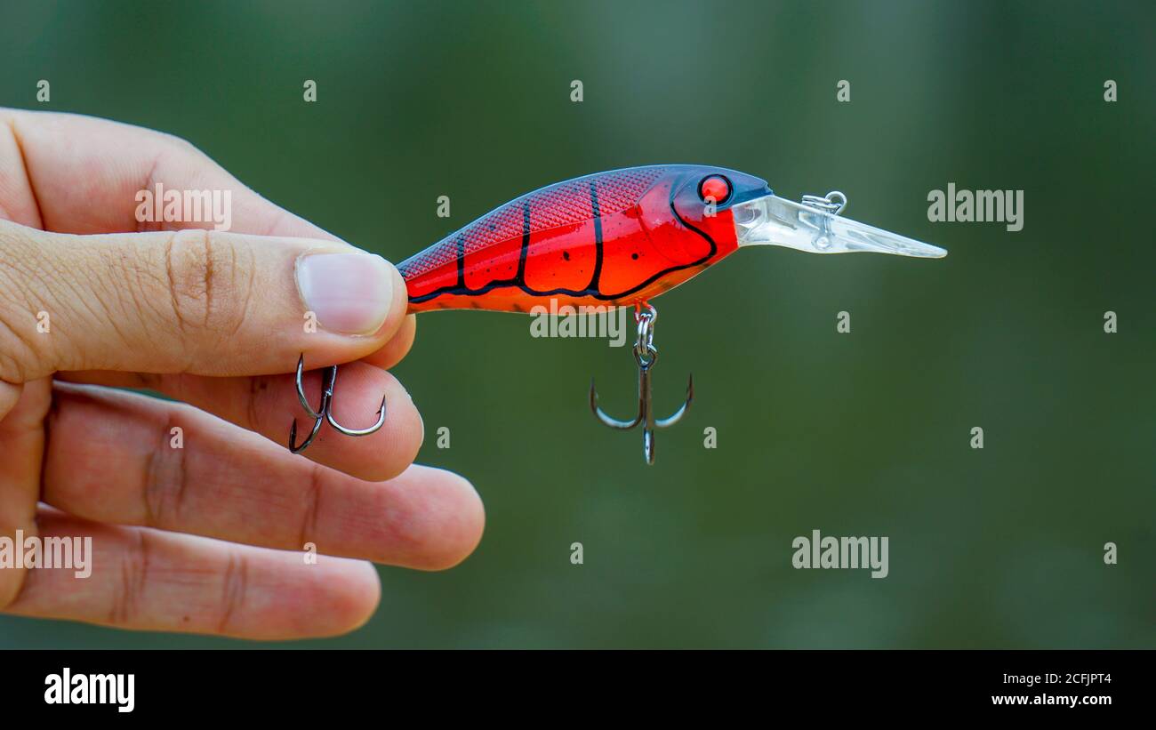 fishing lure held in hand,a fishing lure is a type of artificial fishing  bait used to attract fish. Lures come in many different shapes, sizes, and  co Stock Photo - Alamy