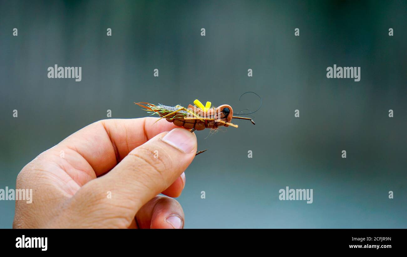 fishing lure held in hand,a fishing lure is a type of artificial