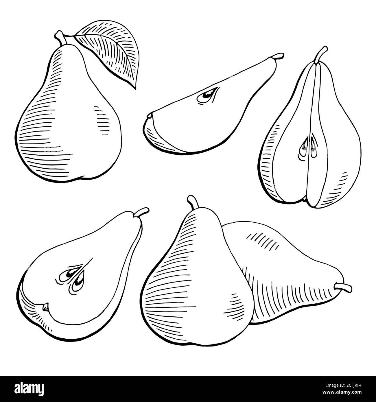 Pear fruit graphic black white isolated sketch illustration vector