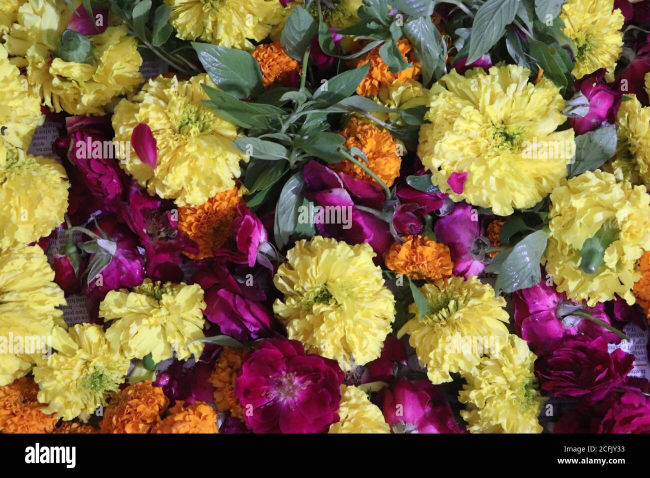 Mixed assorted flowers hires stock photography and images Alamy