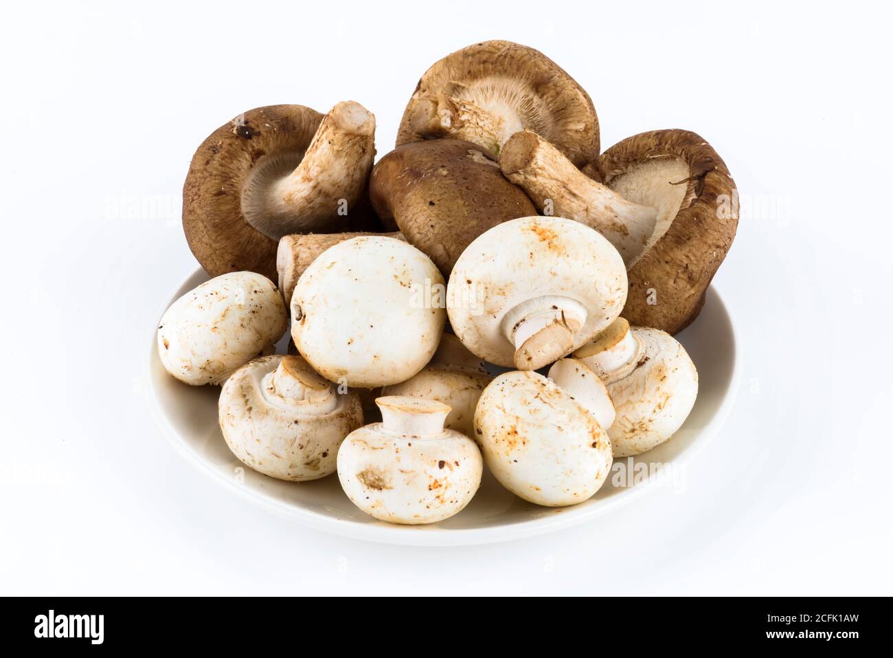 White mushroom isolated on white background Stock Photo
