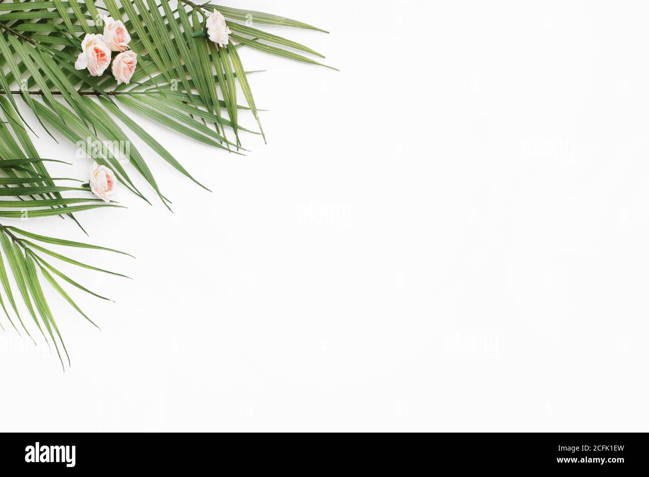 A frame from palm leaves on a white background with copy space Stock ...