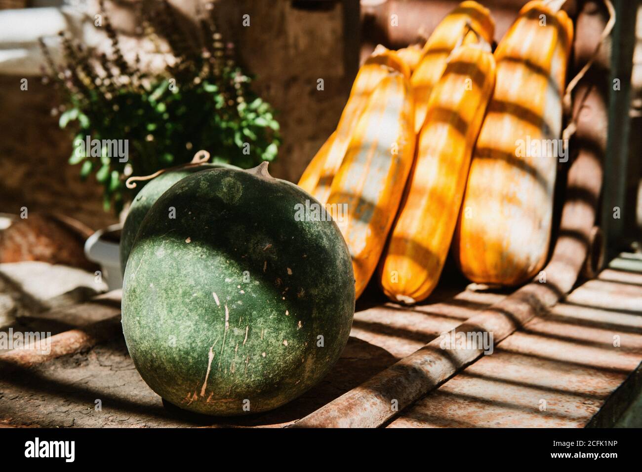 Mediterranean root vegetables Stock Photo Alamy