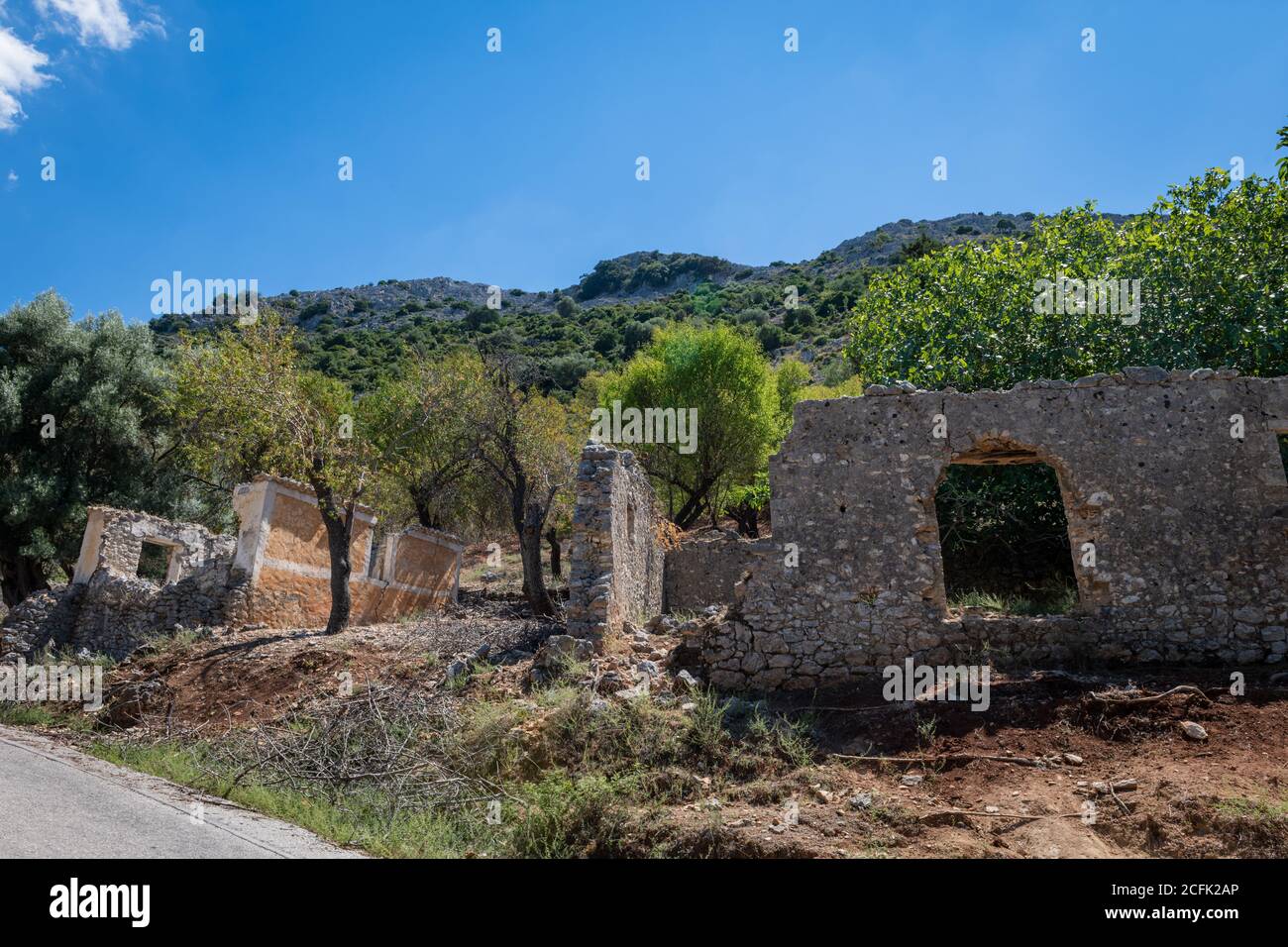 Plagia hi-res stock photography and images - Alamy