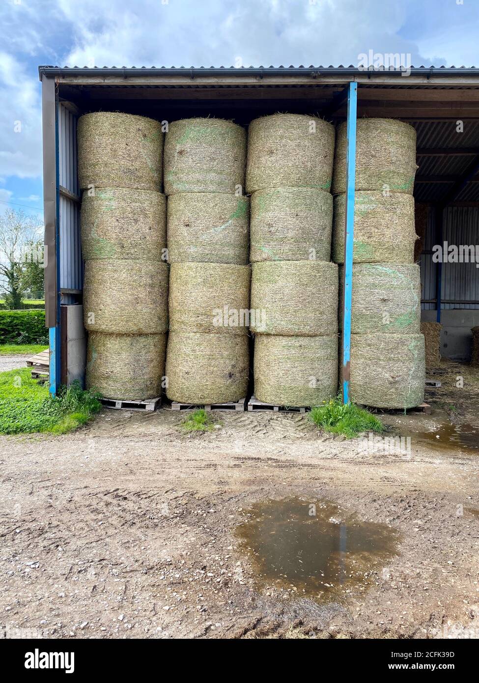 Farm bales stacked high in a old tin barn Stock Photo Alamy