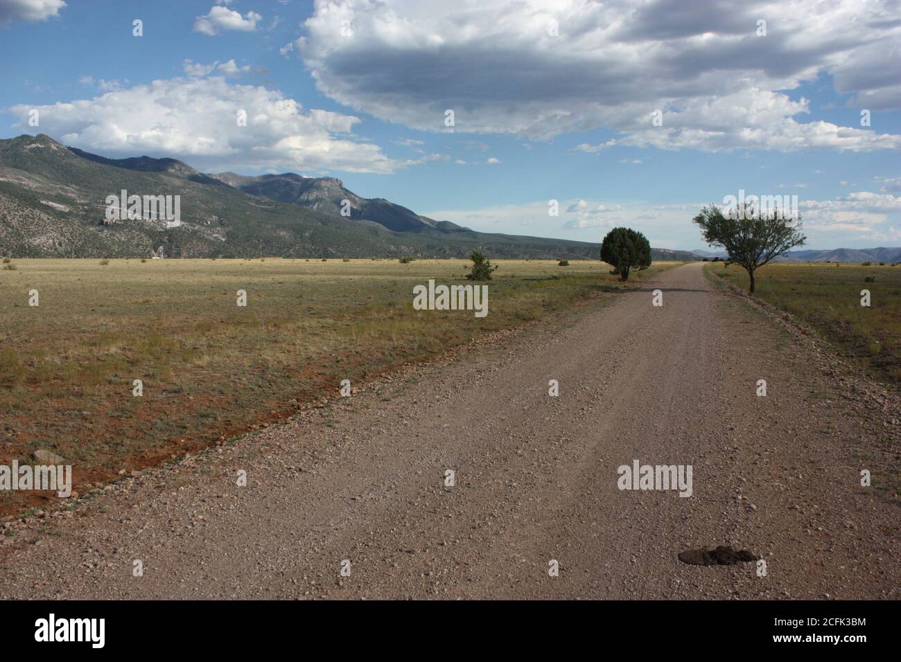 Expansive, symmetrical perspective of long dirt road under dramatic cloudy blue sky Stock Photo