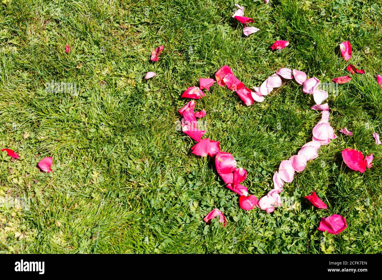 Pink rose petals in heart shape on grass Stock Photo Alamy