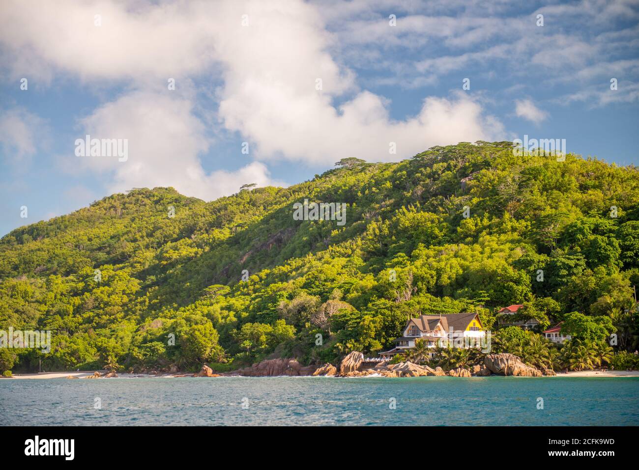 Tropical Island with palms and blue sky, Seychelles. Stock Photo
