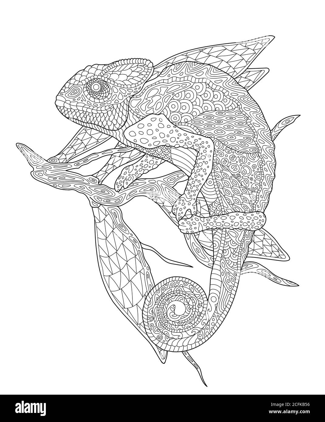 Beautiful coloring book page with stylized chameleon on white background Stock Vector