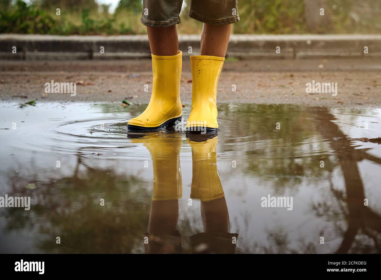 water rain boots