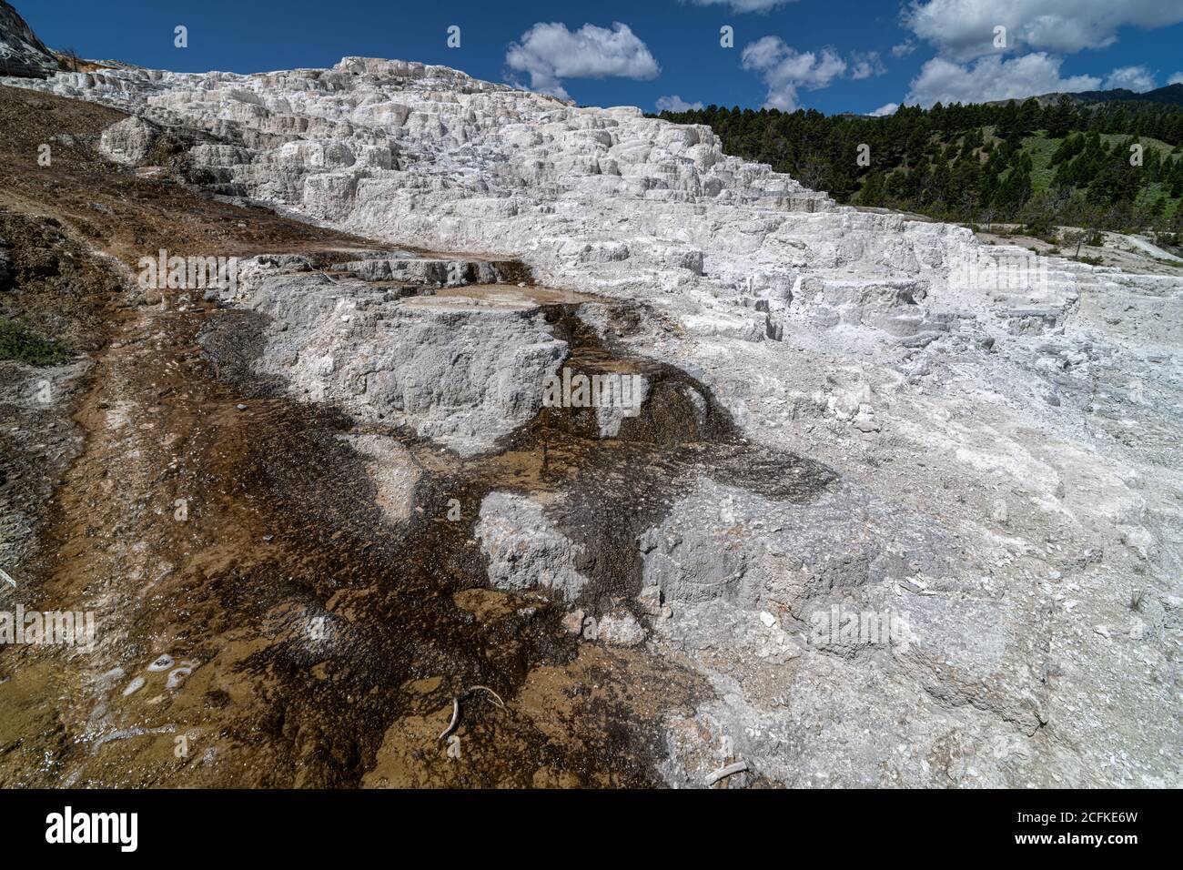 Minerva Terrace in the Mammoth Hot Springs Area, Yellowstone National Park Stock Photo