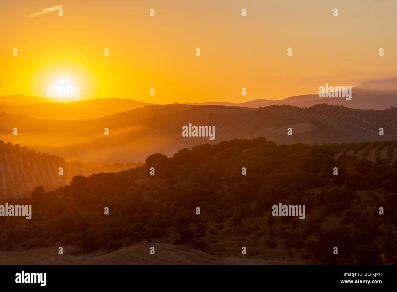 The dawn light begins to illuminate the olive fields in Andalusia Stock Photo