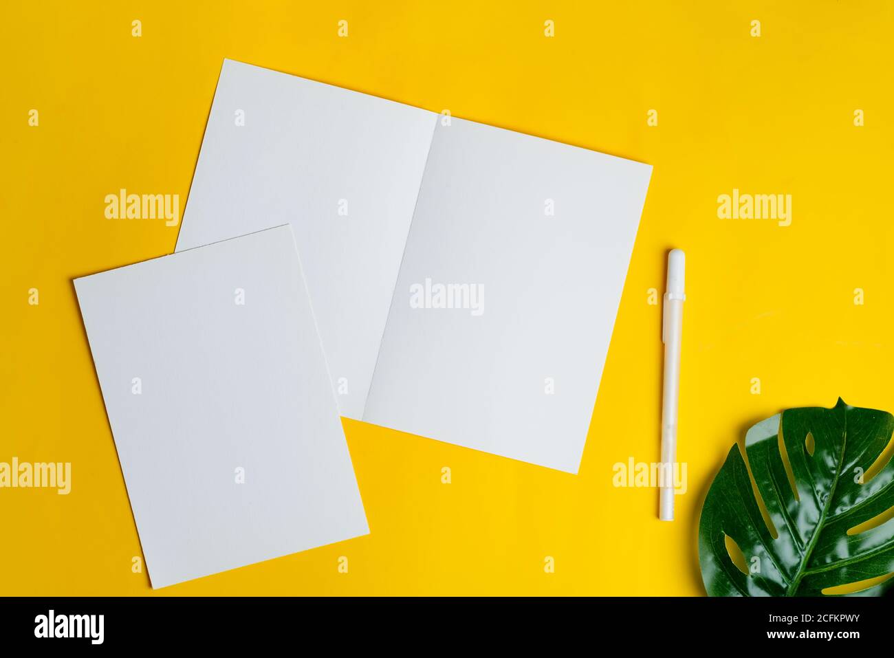 Mock-up empty white paper postcards for text, messages on a pastel ...