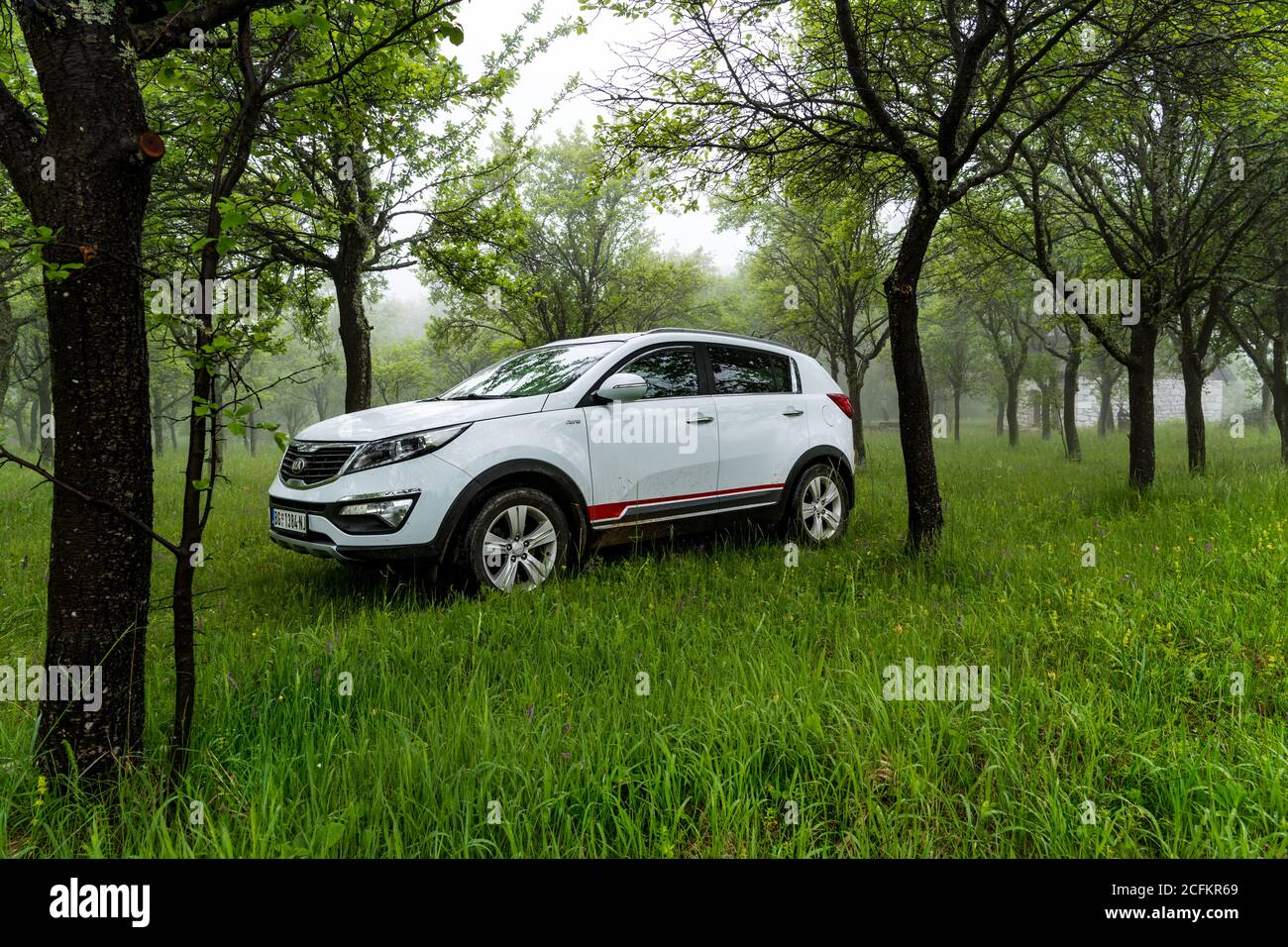 Kia Sportage 2.0 CRDI awd or 4x4, on the dirth road, in deep forest
