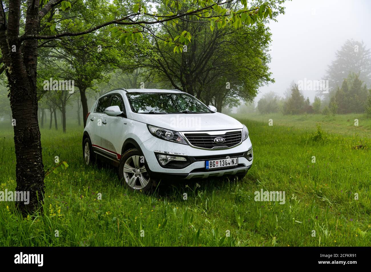 Kia Sportage 2.0 CRDI awd or 4x4, on the dirth road, in deep forest, beautiful car landscape, full of trees and green grass. Crossover testing. Stock Photo