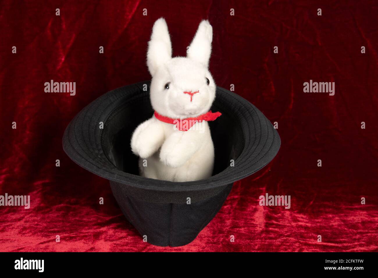 White Rabbit Hat High Resolution Stock Photography and Images - Alamy