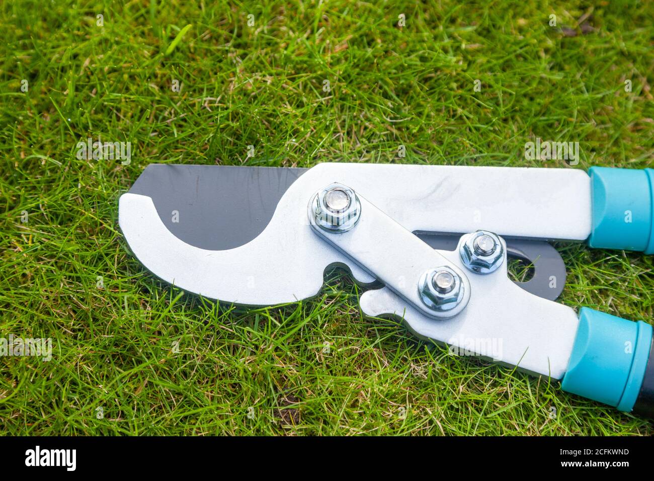 Close-up of pruning loppers Stock Photo