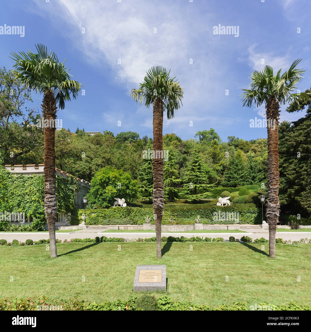 Stallan Roses Roses Of Stalin High Resolution Stock Photography and Images - Alamy