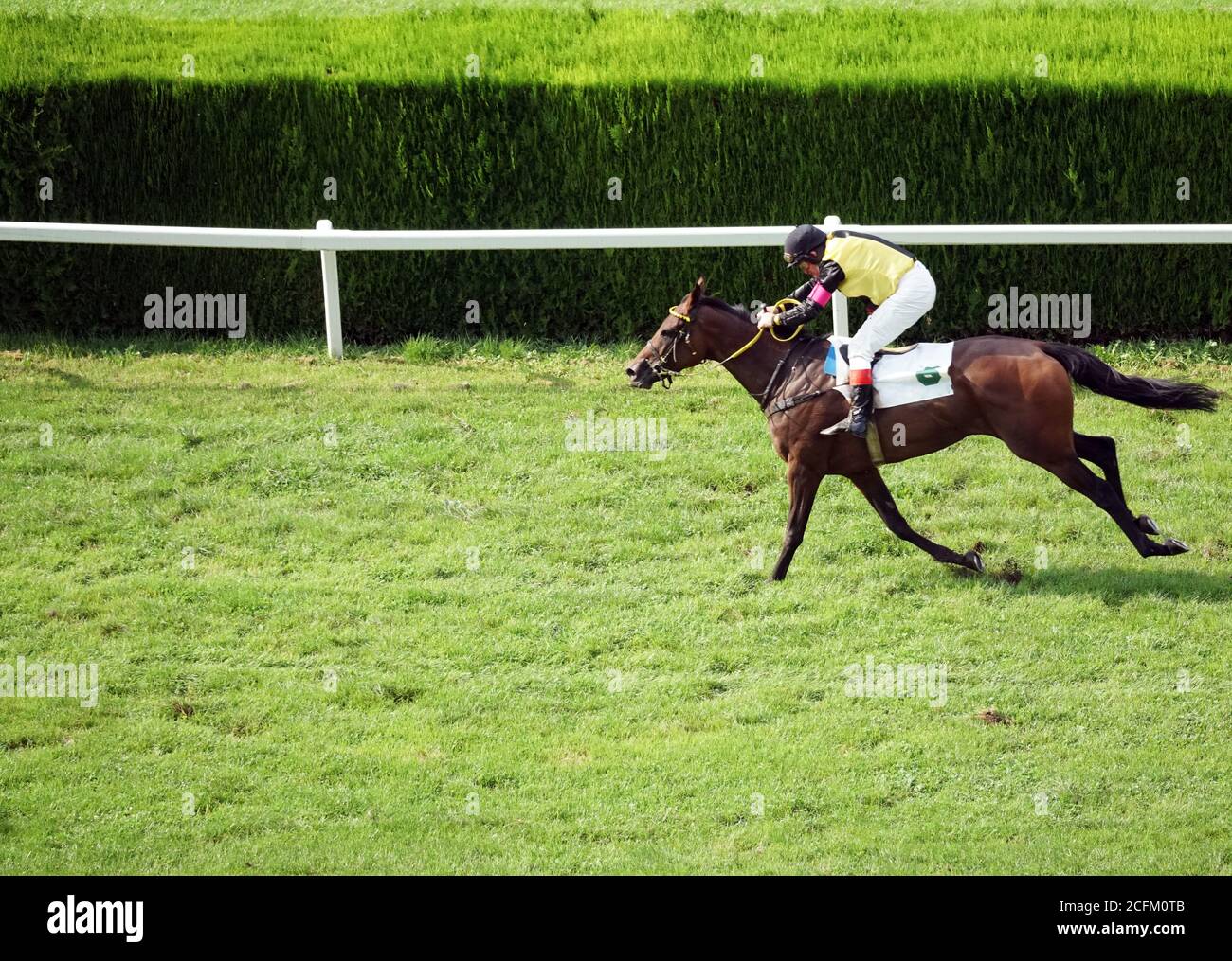 Single horse with a jockey galloping at the race on September 6th of 2020, in Merano, Italy. Stock Photo