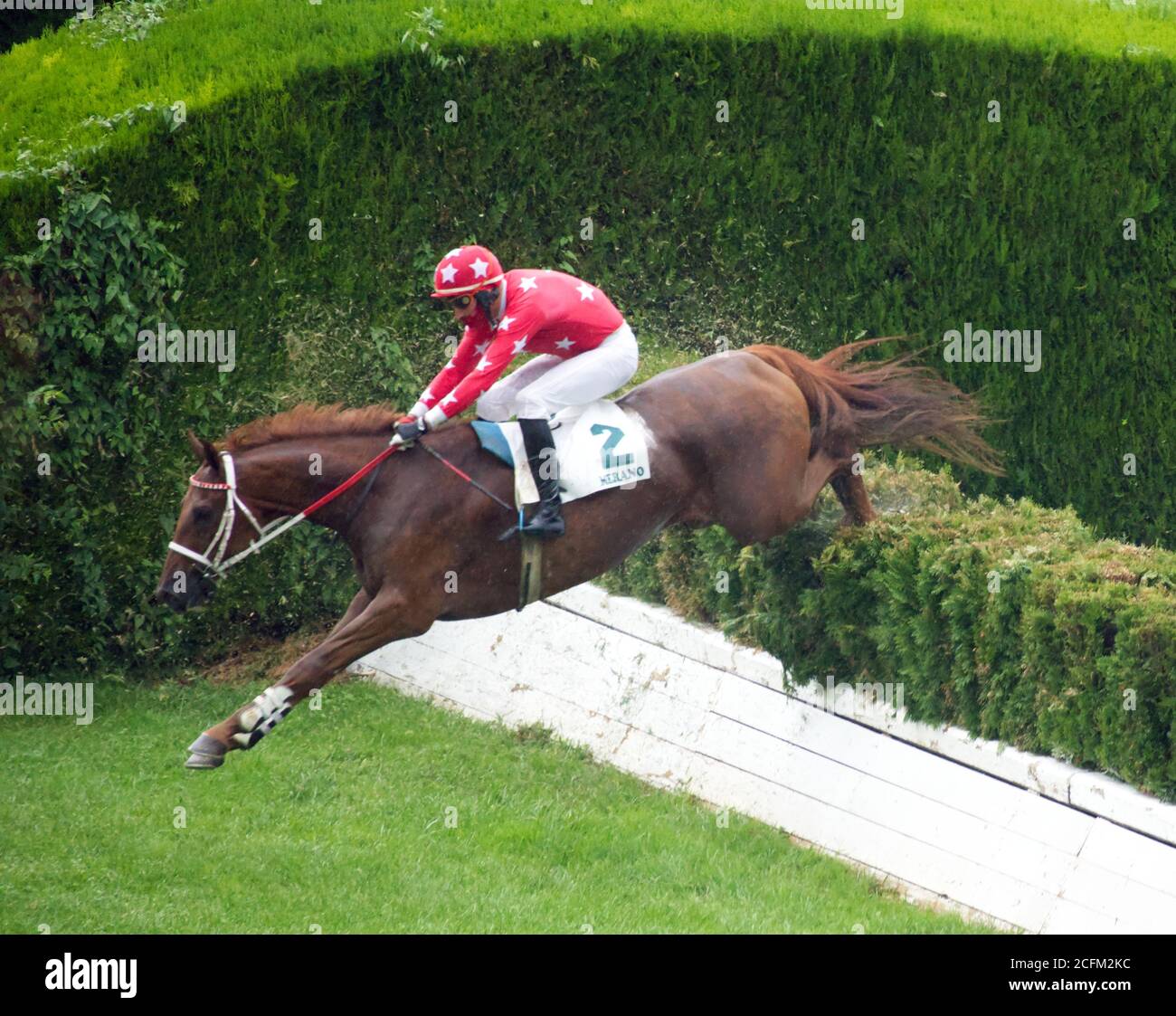 A single horse with a jockey getting over a hurdle at the race on Sept., 6th of 2020 in Merano, Italy. Stock Photo