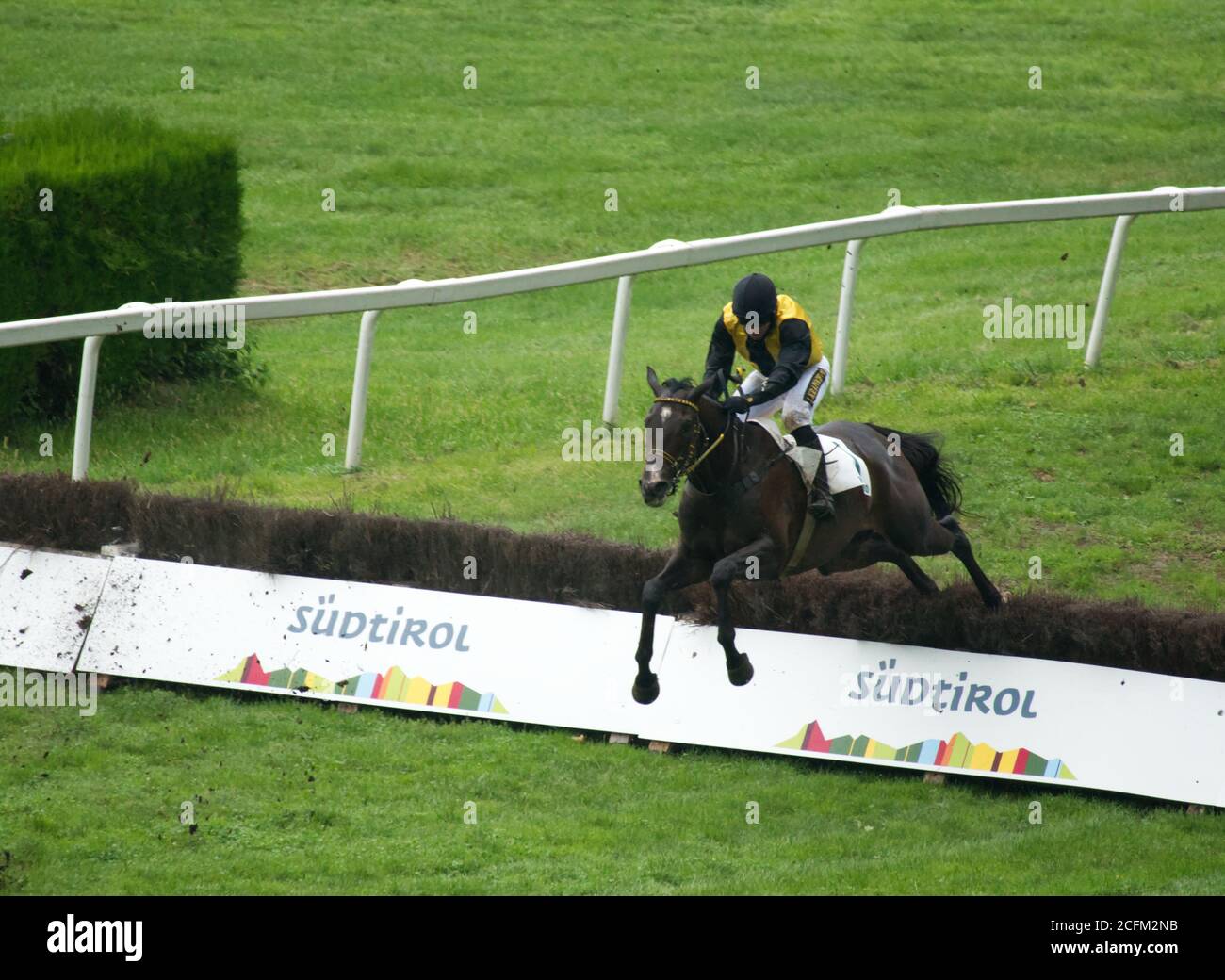 A single horse with a jockey getting over a hurdle at the race on Sept., 6th of 2020 in Merano, Italy. Stock Photo