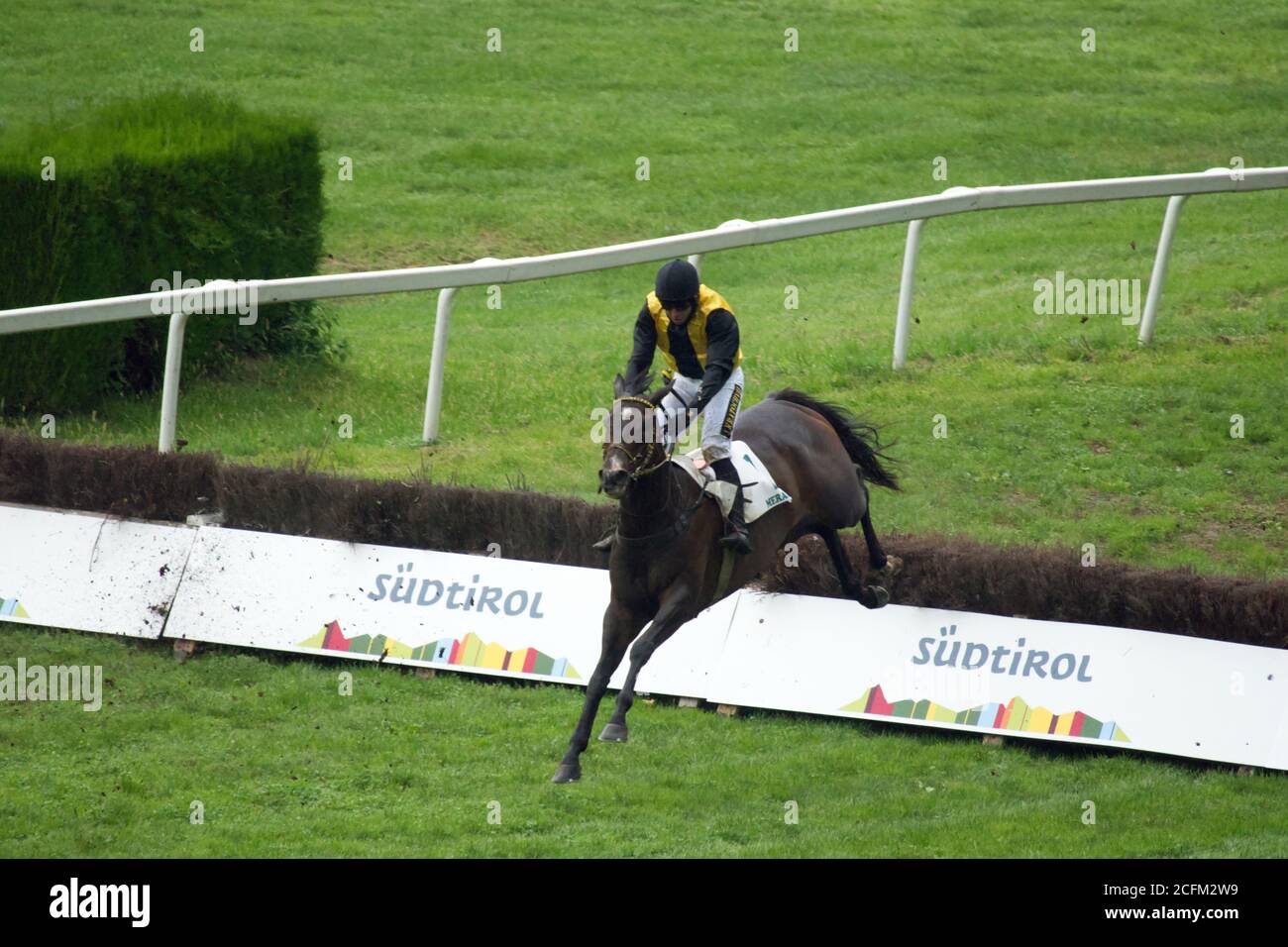 A single horse with a jockey getting over a hurdle at the race on Sept., 6th of 2020 in Merano, Italy. Stock Photo