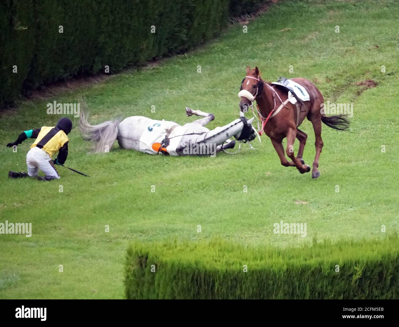 A jockey falling from a horse at the race while others running further at the race in Merano, Italy on Sept. 6th of 2020. Stock Photo