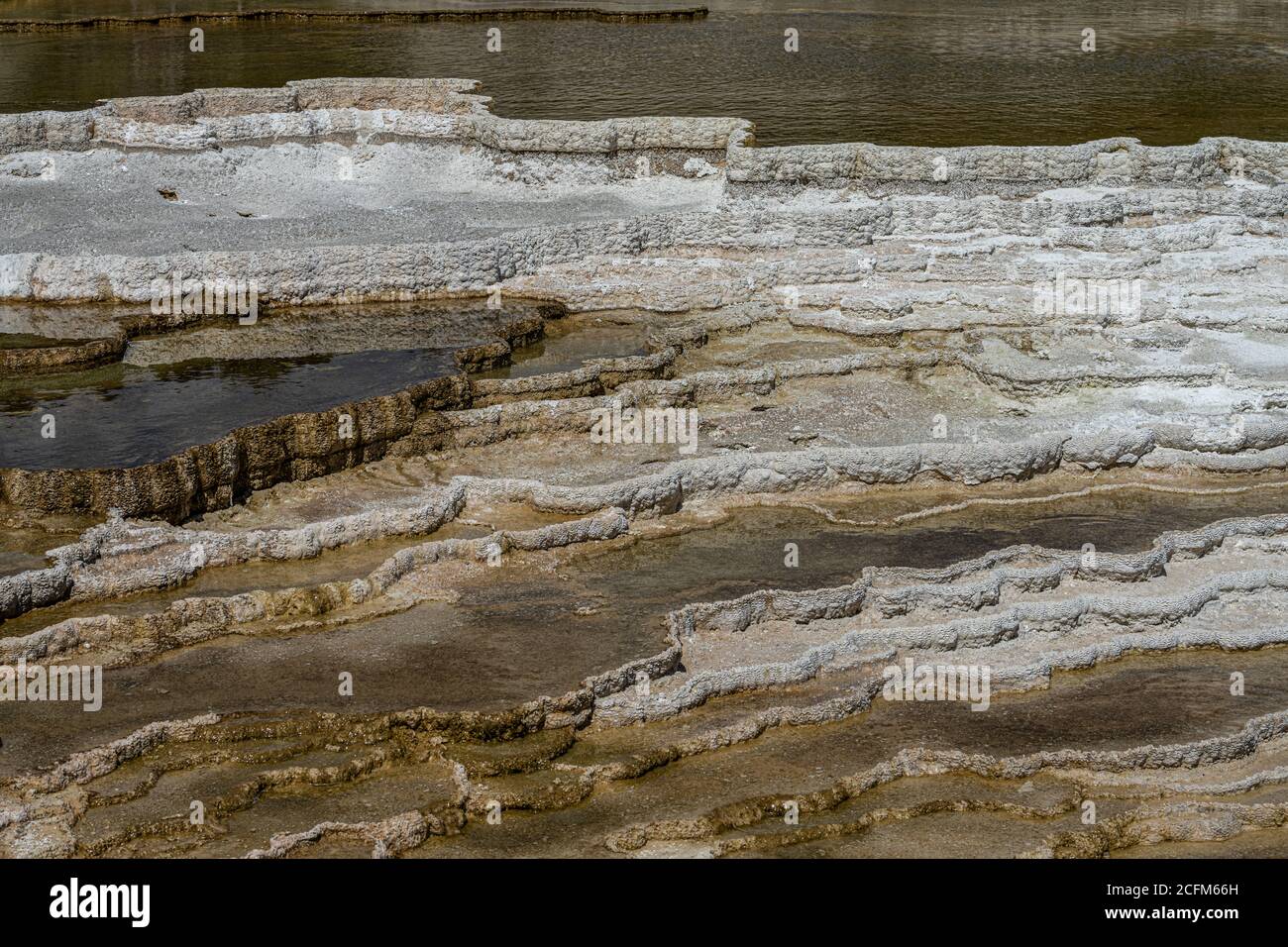 Mound Spring in the Mammoth Hot Springs Area, Yellowstone National Park ...