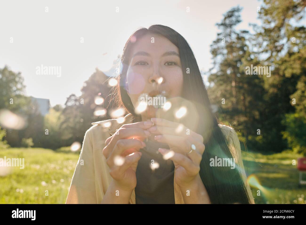 Young Asian woman with long dark hair blowing at dandelion while having fun Stock Photo