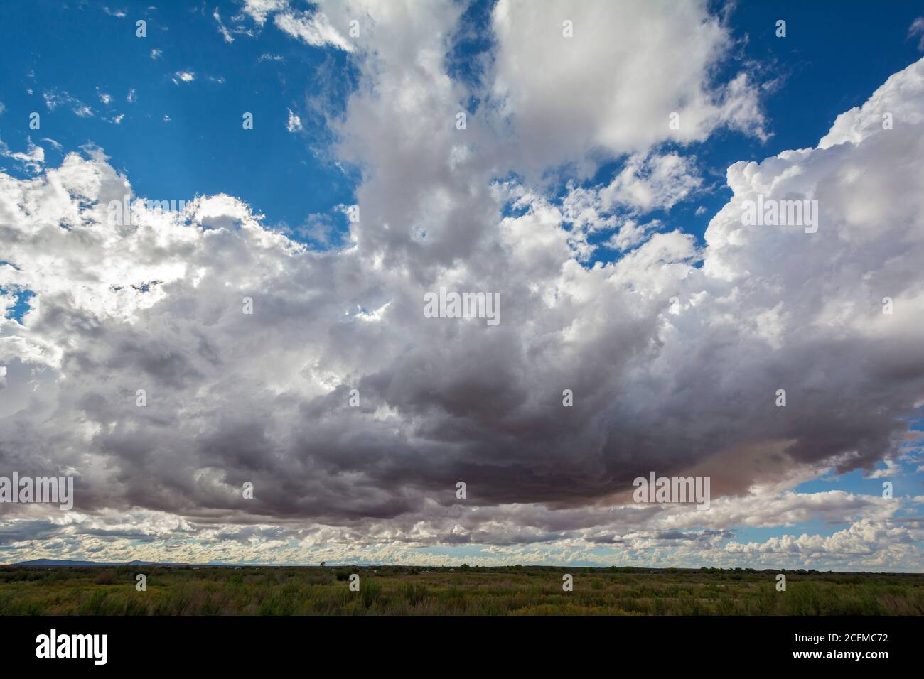 Arizona, Winslow, Homolovi State Park, Hopi ancestral Puebloan archaeologcal sites, cumulus clouds Stock Photo