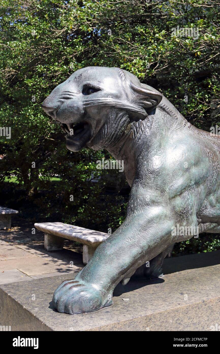A sculpture of the Princeton University tiger mascot on the Princeton campus.New Jersey,USA Stock Photo