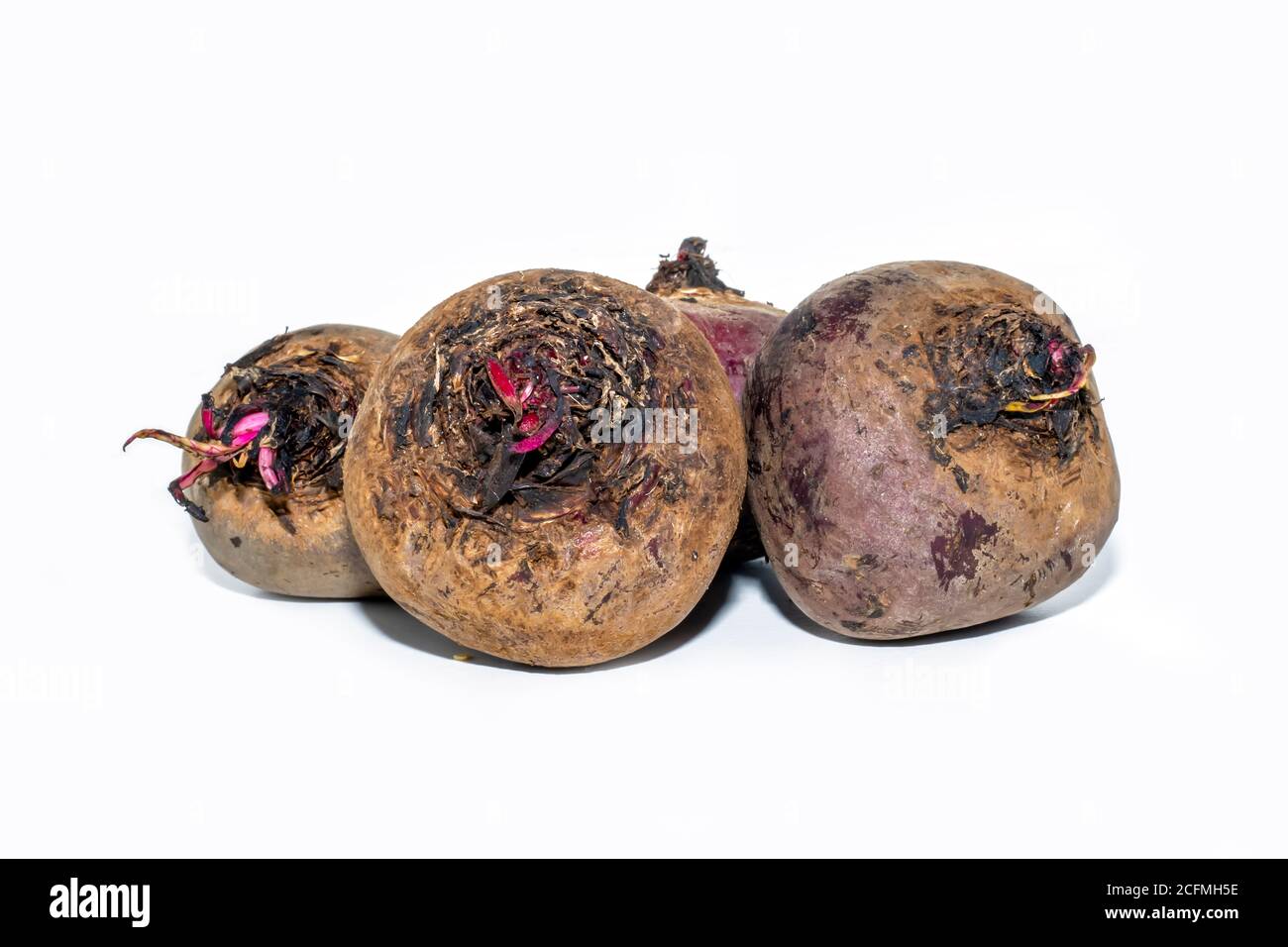 Isolated beetroot. Whole beetroot isolated on white backgrounds Stock Photo
