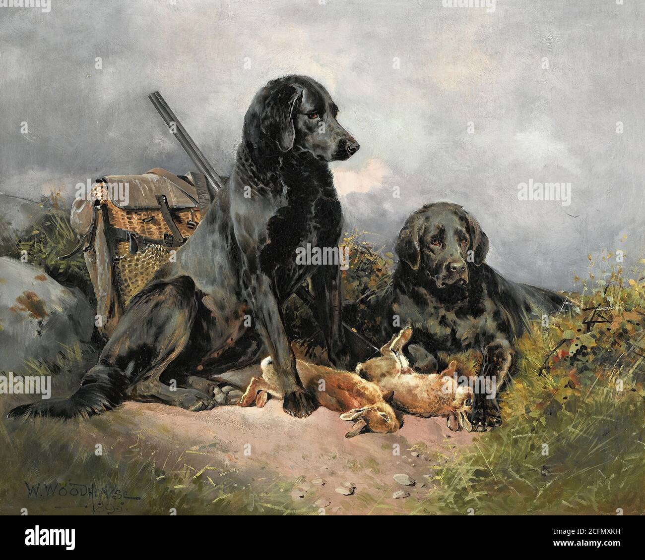 Brace of rabbits hires stock photography and images Alamy