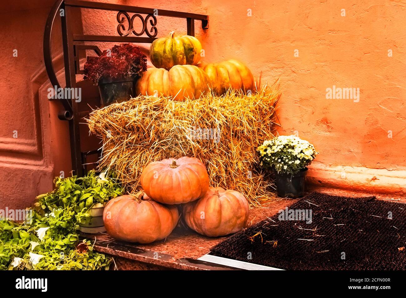 Pumpkin Patch Centerpiece & Hay Bales