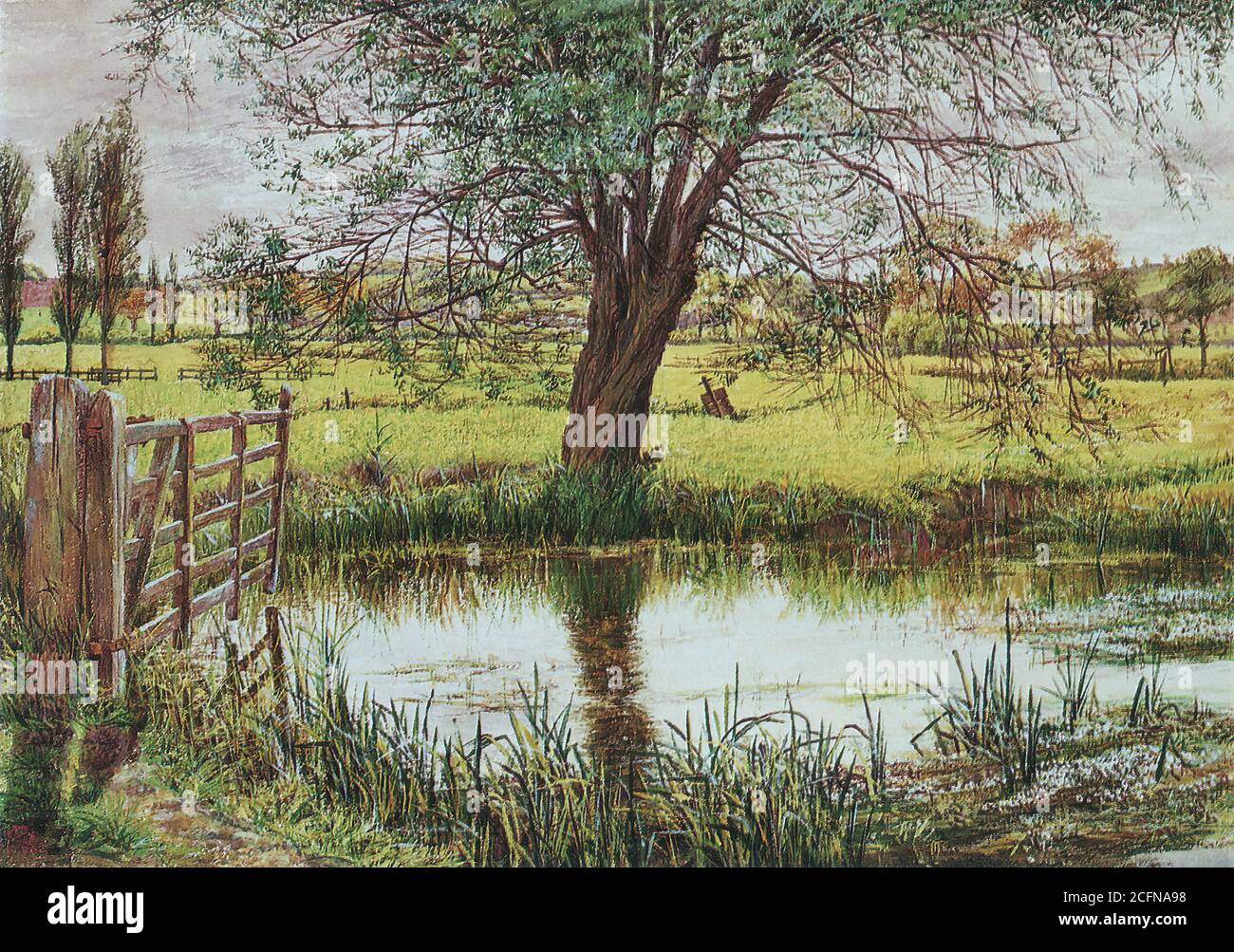 Scott William Bell - Landscape with a Gate and a Watermeadow - British School - 19th  Century Stock Photo
