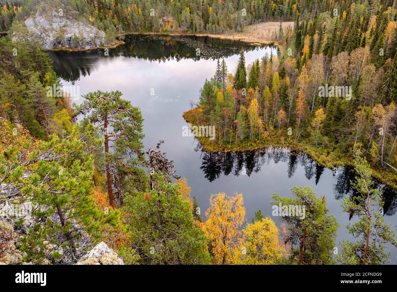 Repovesi Repovesi National Park forest and lake landscape Stock Photo - Alamy