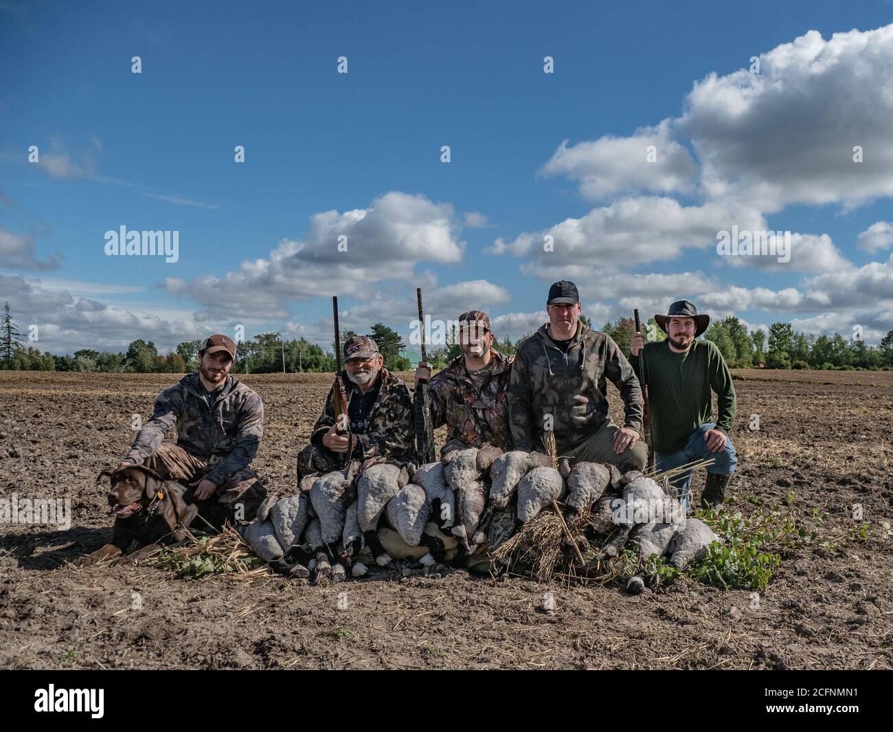 Hunting wild geese ducks snow geese goose hunt Stock Photo Alamy